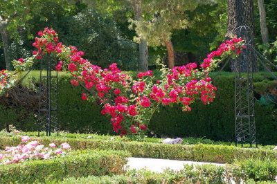 Retiro Park_66.JPG