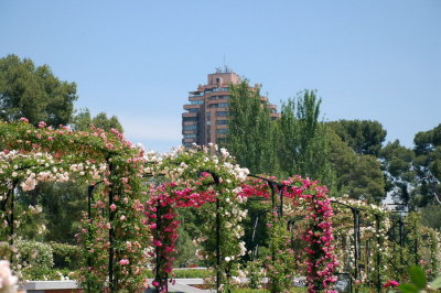Retiro Park_72.JPG