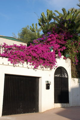 Marbella_020.JPG