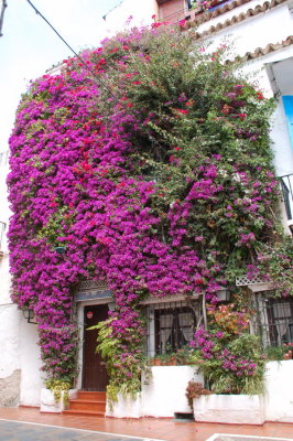 Marbella_088.JPG