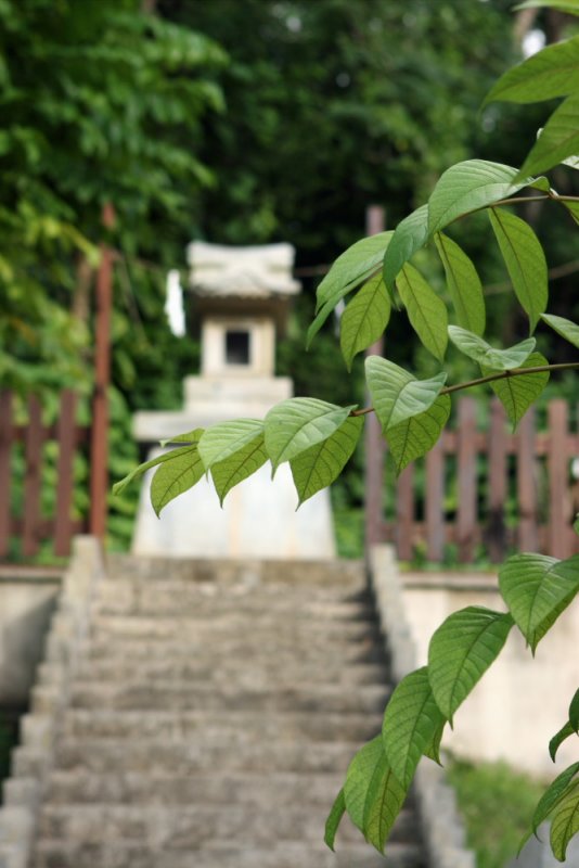 Japanese Shrine