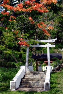 Flame Tree and Temple