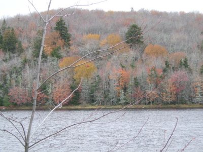 East Shore