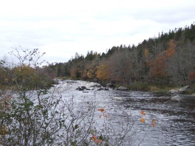 Musquodoboit area
