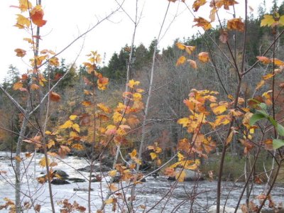 Musquodoboit area 3