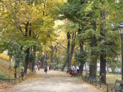 Neighbourhood - Planty (park)