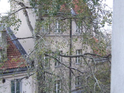 WA6 View from apartment.JPG