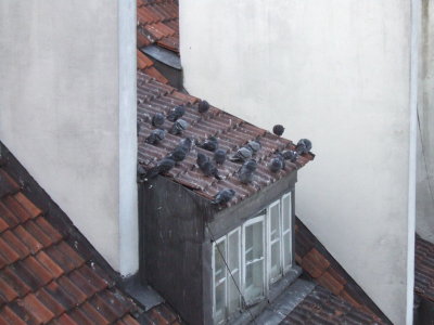 WA7 View.JPG