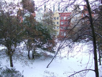 G21 Snowy view from apartment.JPG