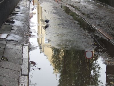 G23 Poland in its puddles.JPG