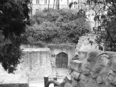 P10 Arenes de Lutece.JPG