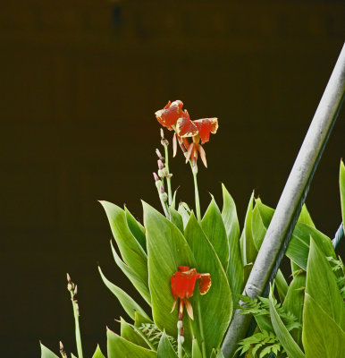 6-23-07.jpg