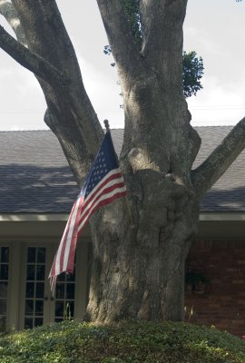 7-04-07.jpg