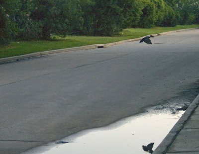 7-07-07.jpg