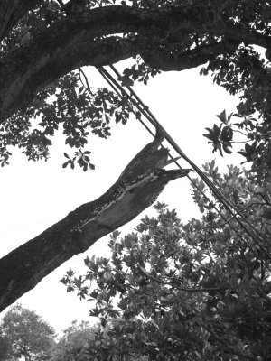 7-16-07.jpg