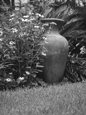 7-29-07.jpg