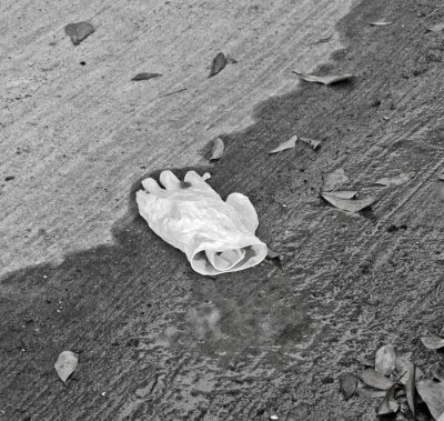 glove.jpg