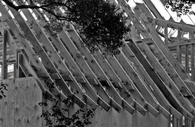 skel roof.jpg
