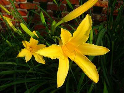 June