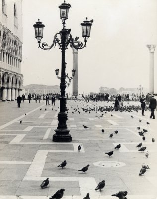 Piazza San Marco