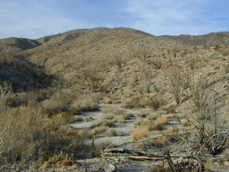View from my camp in Anza
