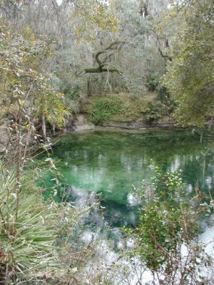 Blue Springs