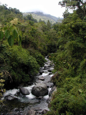 Mountain stream, Cerro Chirrip