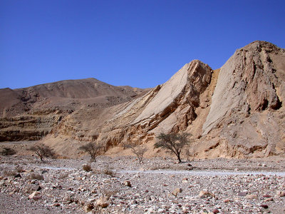 Wadi 