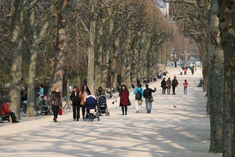 Nature Musuem, Paris