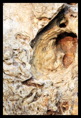 Stone & Tree