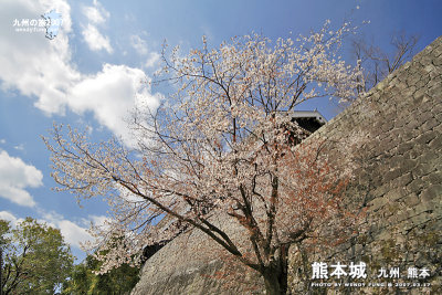 i_MG_5425 copy.jpg