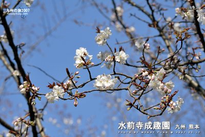 i_MG_5513 copy.jpg