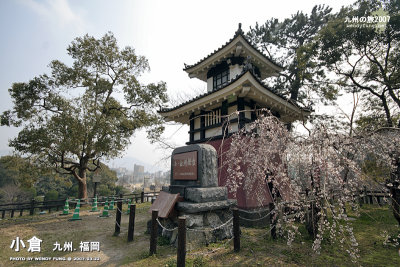 i_MG_6058 copy.jpg