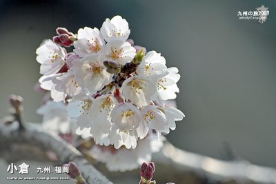 i_MG_6061 copy.jpg