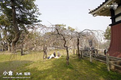 _MG_6093 copy.jpg