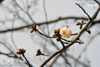 _MG_6098 copy.jpg