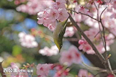 _MG_6210l copy.jpg