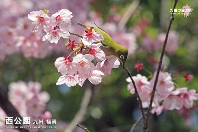 _MG_6212l copy.jpg