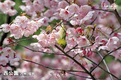 _MG_6223l copy.jpg