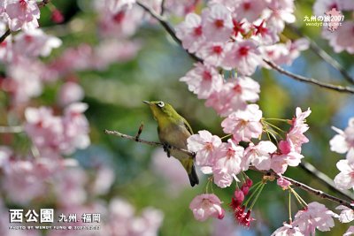 _MG_6254l copy.jpg