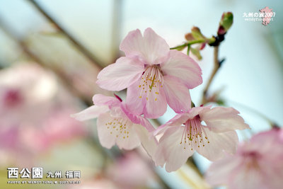 _MG_6268f copy.jpg
