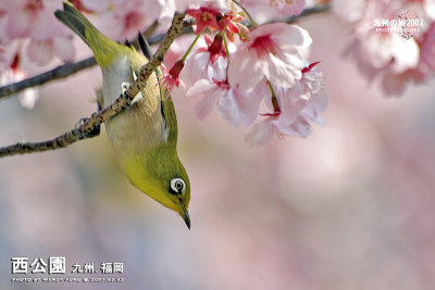 _MG_6299l copy.jpg