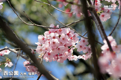 _MG_6307l copy.jpg