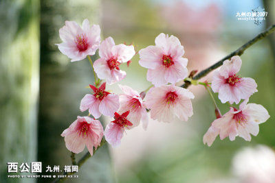 _MG_6309l copy.jpg