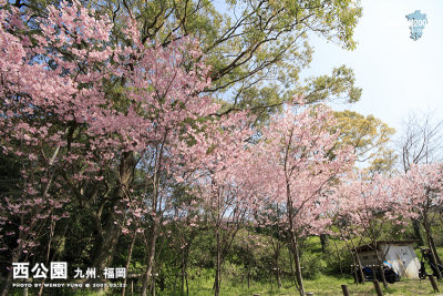 _MG_6314l copy.jpg
