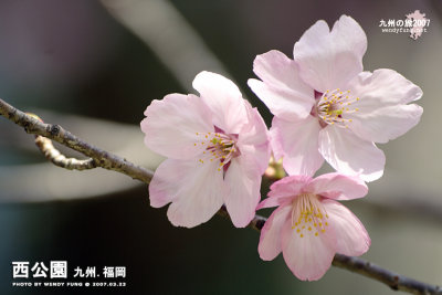 _MG_6336f copy.jpg
