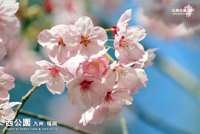 _MG_6487 copy.jpg
