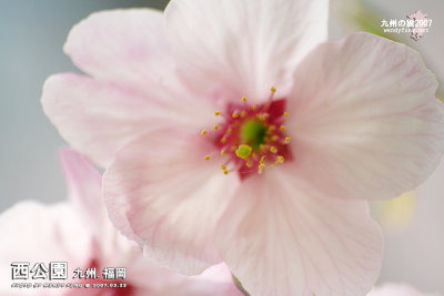 _MG_6494 copy.jpg