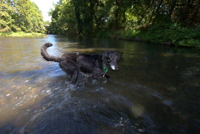 Jake's Last Swim, Aug 15th, 2006