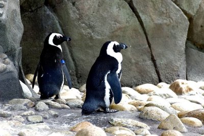 tn_DSC_3671.jpg